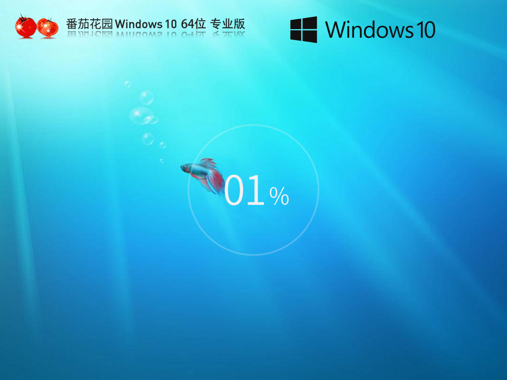 【番茄花园】Windows10 64位 专业版镜像