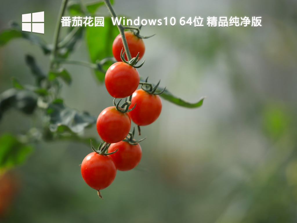 【番茄花园】Windows10 64位 精品纯净版