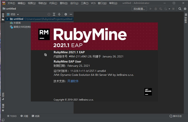 RubyMine