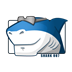 Win8解码器(Win8codecs) V11.5.3 最新版