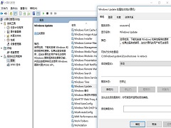 Win10错误代码0xc0020036怎么解决？