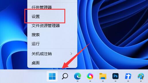 win11怎么查看电脑的ip地址？ win11本机ip地址查询的方法