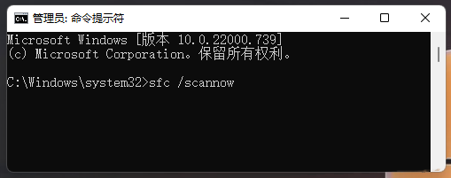 Win11系统xplorer频繁卡死