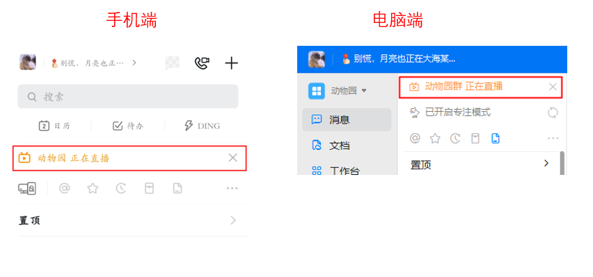 钉钉怎么观看群直播？钉钉群直播观看方法