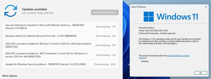 Win11 22H2(KB5017321)更新失败错误代码0x800F0806解决教程