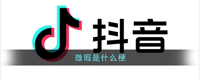抖音微瑕是什么梗？抖音微瑕梗的出处和含义