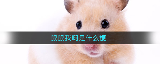 鼠鼠我啊是什么新梗?鼠鼠我啊真的生气了梗出处和含义