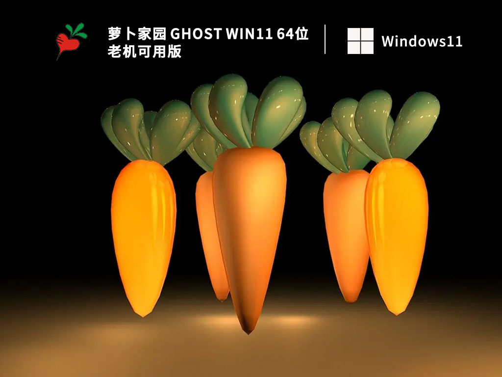 萝卜家园 Ghost Win11 64位 老机可用版 V2022