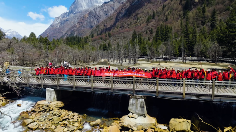八年征途,三头六臂一直向上