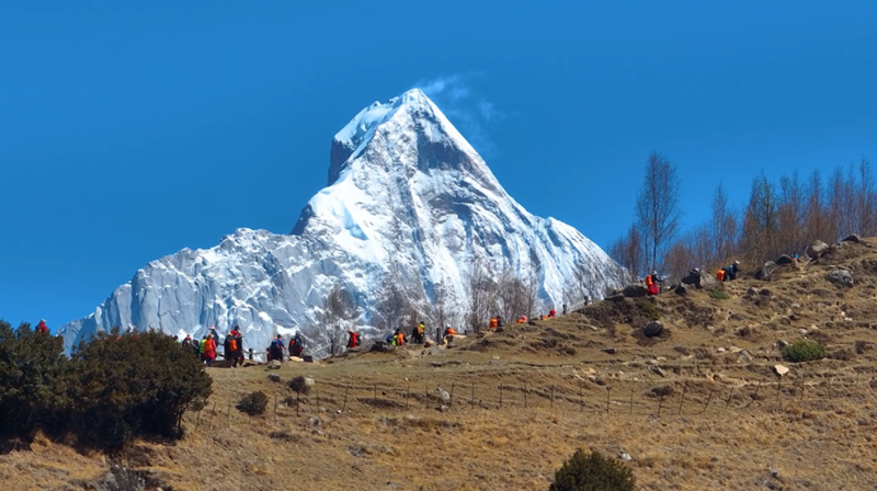 八年征途,三头六臂一直向上