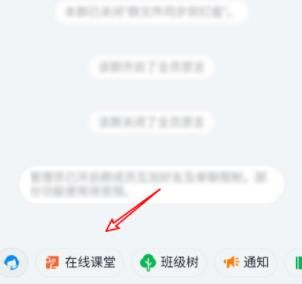 钉钉直播可以看到学生在干什么吗?