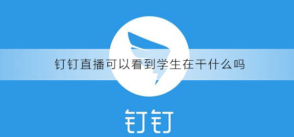 钉钉直播可以看到学生在干什么吗?
