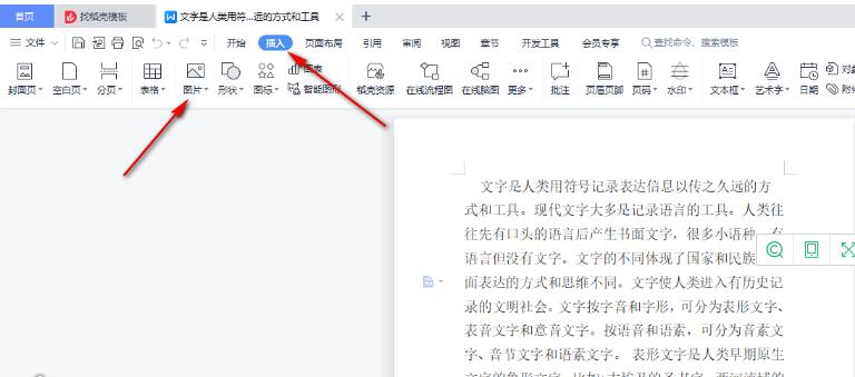wps中图片只显示一行怎么办？wps中图片显示不全怎么调整？