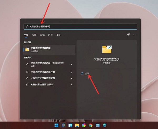 win11文件扩展名怎么显示?win11文件扩展名显示方法介绍