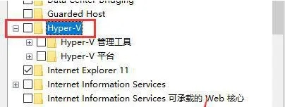Win11不兼容雷电模拟器怎么办?Win11无法打开雷电模拟器解决方法