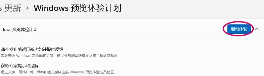 Win11 22H2专业版怎么升级23H2专业版?详细教程