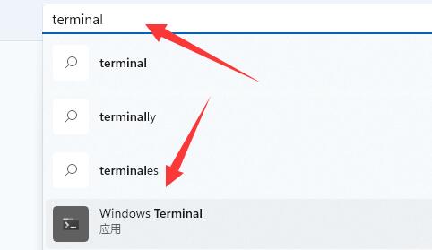 win11提示找不到wt.exe怎么办?win11找回wt.exe程序方法