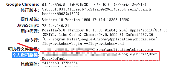 谷歌浏览器同步功能开启不了怎么办?
