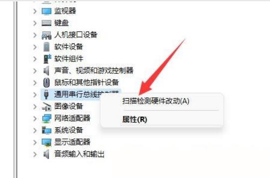 Win11移动硬盘不显示怎么办?Win11移动硬盘不显示问题解析