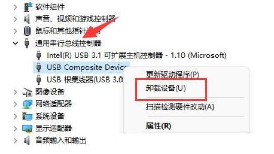 Win11移动硬盘不显示怎么办?Win11移动硬盘不显示问题解析