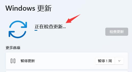 win11分辨率被锁定了怎么办?win11分辨率被锁死不能调整的解决方法