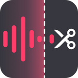 金舟音频大师 V2.1.5 免费下载2024全新版