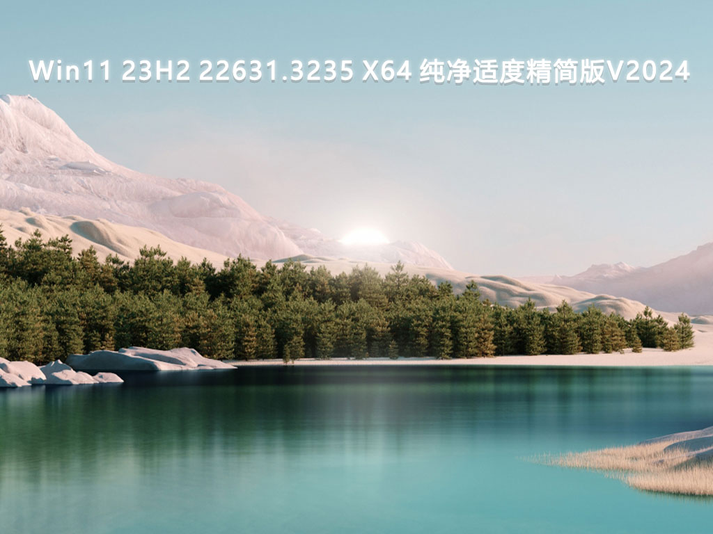 Win11 23H2 22631.3235 X64 纯净适度精简版V2024