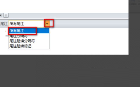 wps怎样单独取消尾注的横线?wps怎么取消尾注上的横线方法