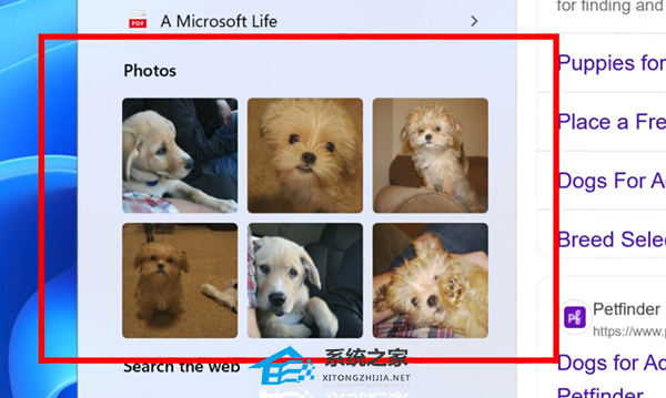 微软发布九月版 Win11 24H2 累计更新补丁 KB5033375!