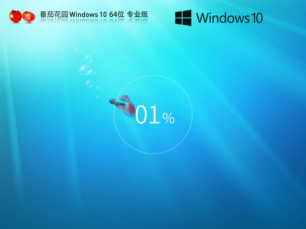 【番茄花园】Windows10 64位 最新专业版